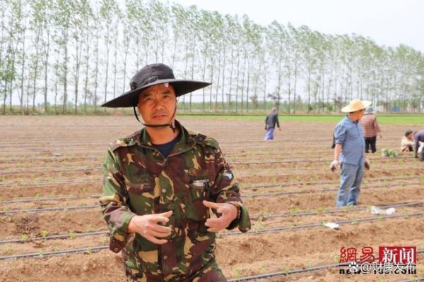 股票杠杆配资 从商海到田园：一位返乡创业者的“金丝皇菊”致富梦