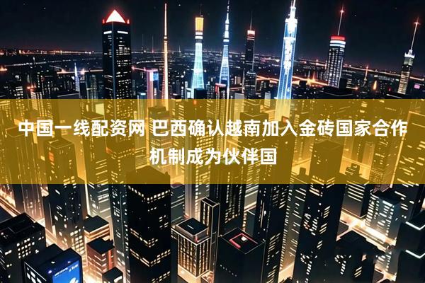 中国一线配资网 巴西确认越南加入金砖国家合作机制成为伙伴国